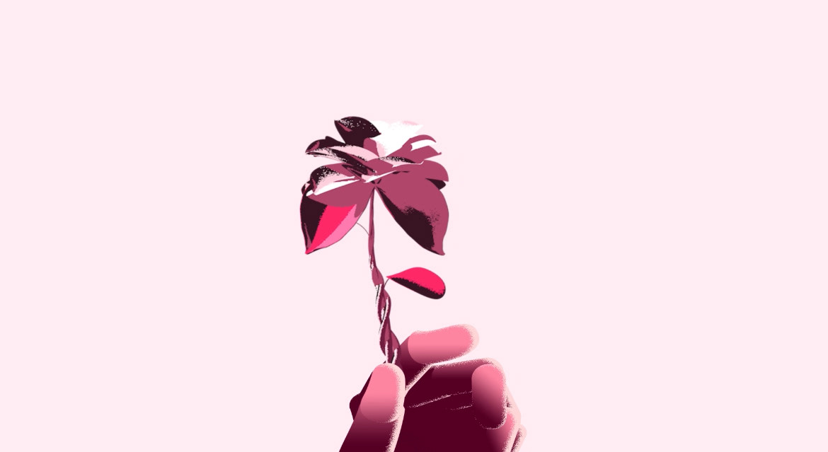 Keyshot 06